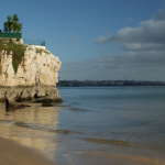 DSC00702-w740_h495